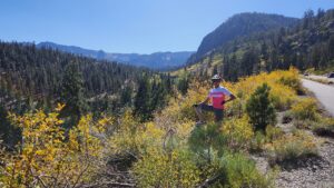 Mammoth Lakes Autumn