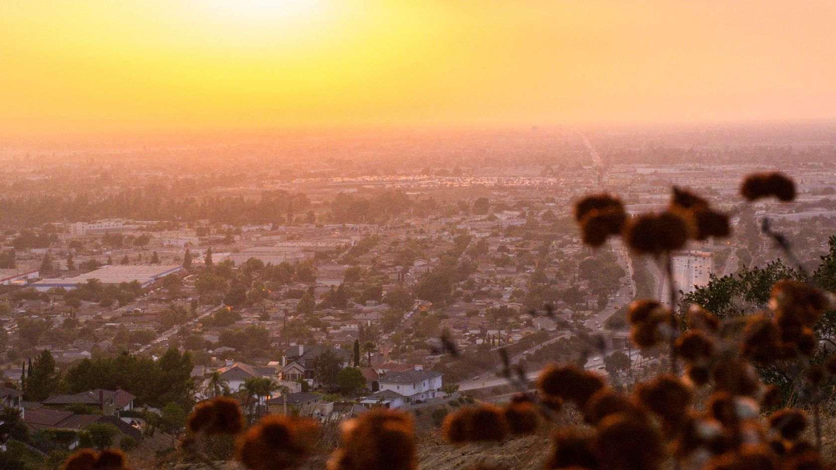 the valley